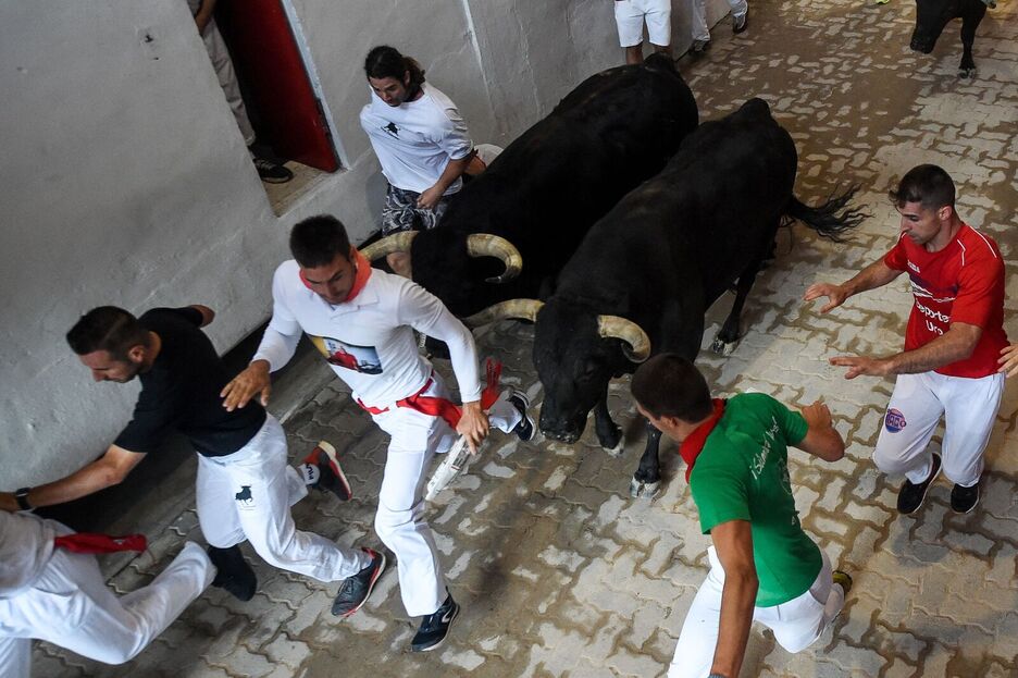 Muy cerca de las astas antes de entrar al ruedo. Muy cerca de las astas antes de entrar al ruedo.