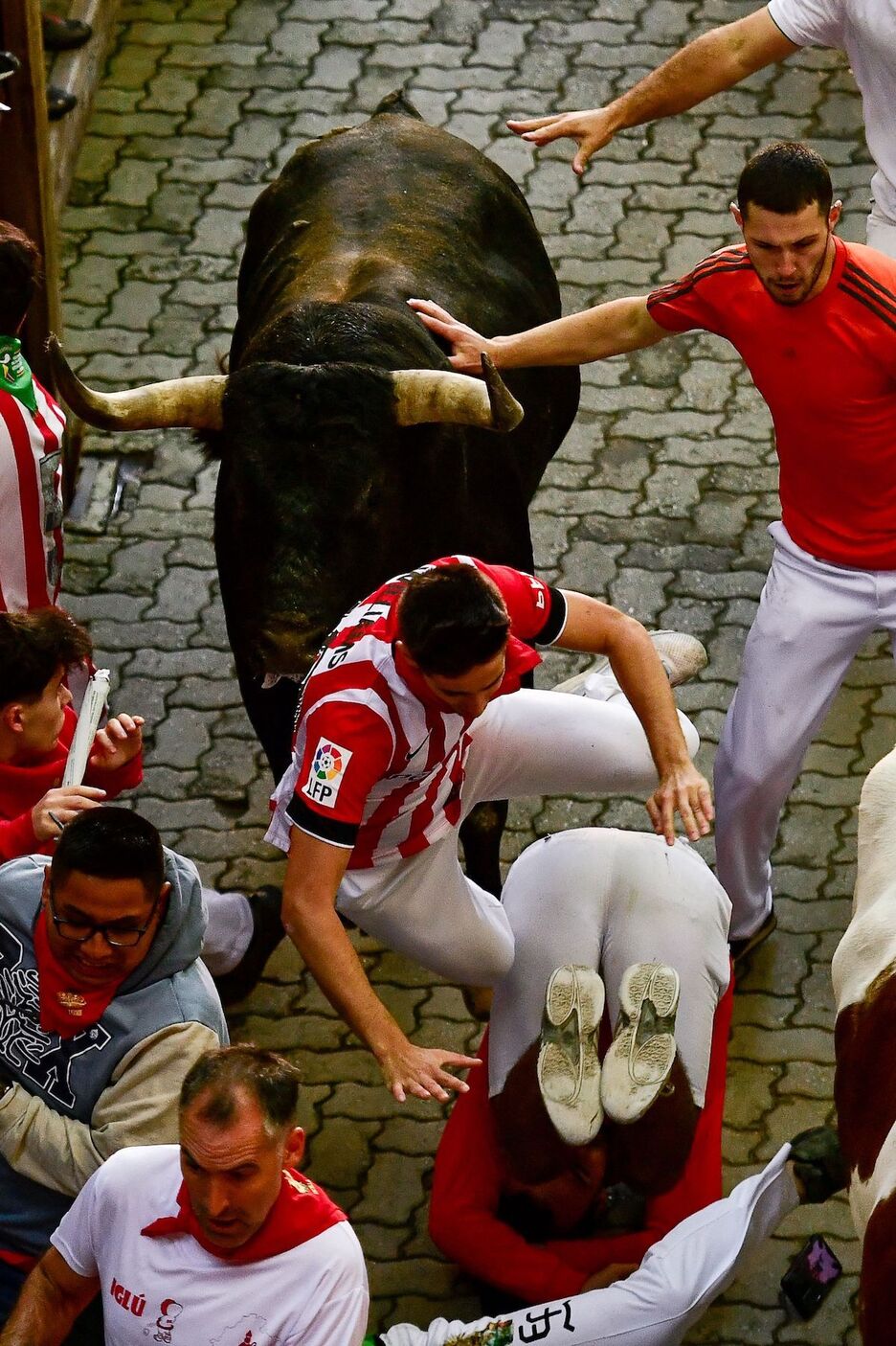 Williamsen elastikoa soinean daraman korrikalaria, larri Miura zezenaren aurrean.