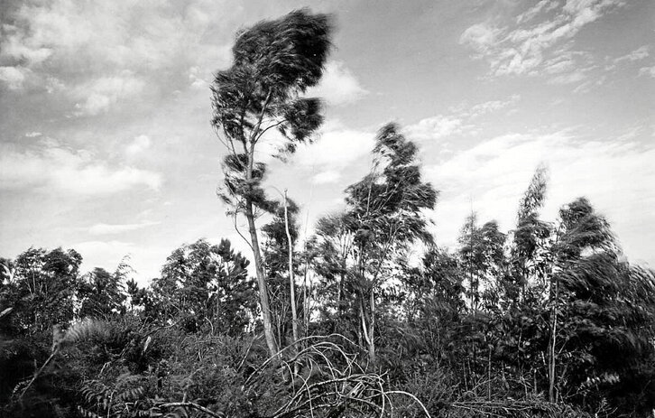 Paisaje de Patxi Cobo, dentro de la exposición “Miradas a Bizkaia”, que se expone en las calles de diferentes municipios dentro del programa “La Ruta del Arte BBK Artearen Ibilbidea”.
