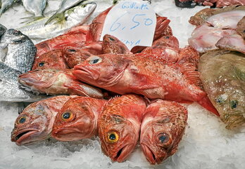 gara-2023-07-26-Noticia