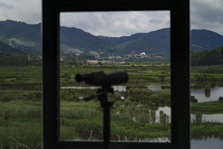 Urdaibaiko padurak, Urdaibai Bird Centerretik ikusita.