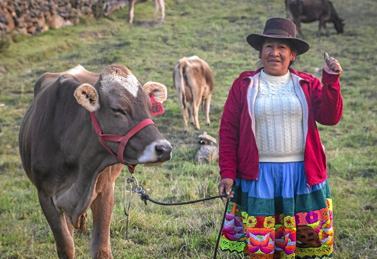 Emakume bat bere ganadua zaintzen Perun; landa eremuko emakumeen % 43,5ak adierazi du ez duela diru sarrera propiorik.