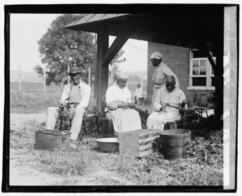 La gran mayoría de las personas afroamericanas que viven en Estados Unidos descienden de los cientos de miles de africanos esclavizados.dos
