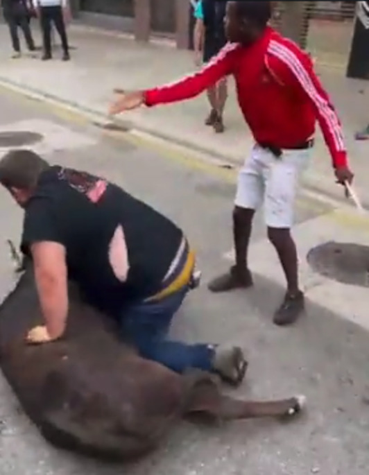 Gizonezkoa bigantxaren gainean eta unaiari kasurik egin gabe.