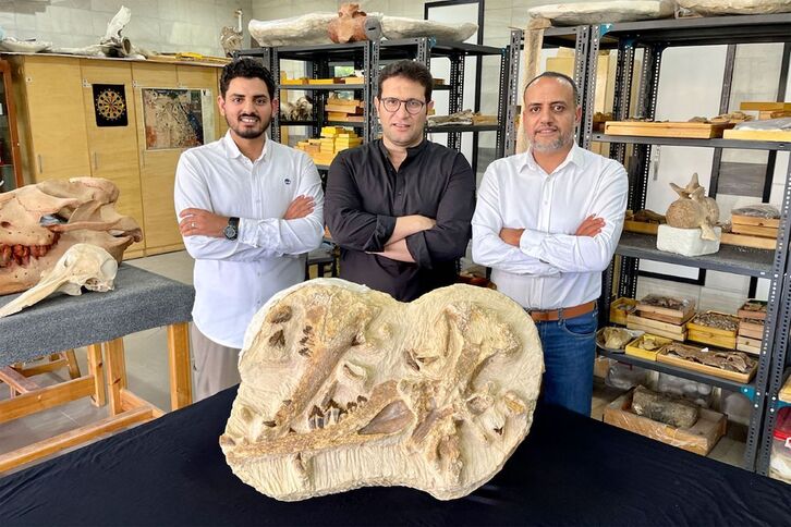 Los paleontólogos Abdullah Gohar (I), Mohamed Sameh (C) y Hesham Sallam (D), detrás del holotipo de la ballena.