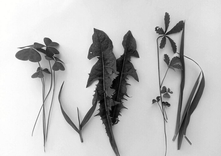 Ilustrazioa: ULA IRURETAGOIENA BUSTURIA