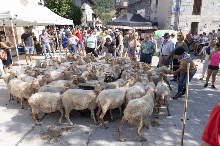 Uharte Arakilgo Artzai Egunaren 55. edizioa izango da abuztuak 27an. 