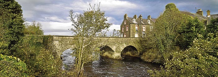 Irlandako hegoaldetik iparraldera dauden zenbait destilategi. Asmatu zutenetik, whiskia uharteko gai politiko, sozial eta ekonomikoekin lotuta egon da.