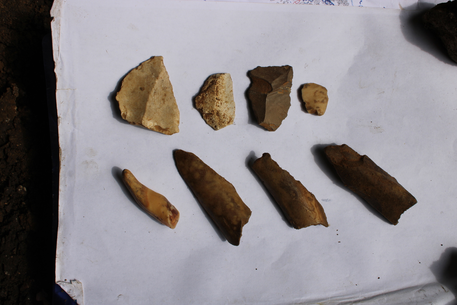 Kobazuloan aurkitutako Moustier aldiko piezak, neandertalek landutakoak. (ARANZADI)