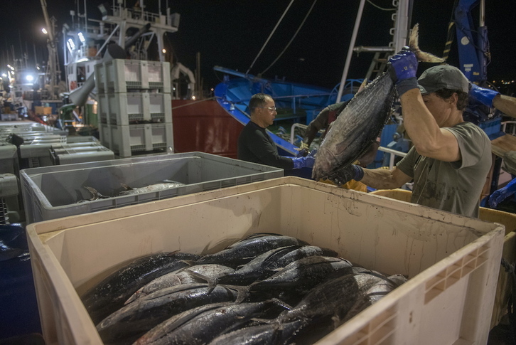 Imagen de archivo de una descarga de bonito en el puerto de Getaria. 