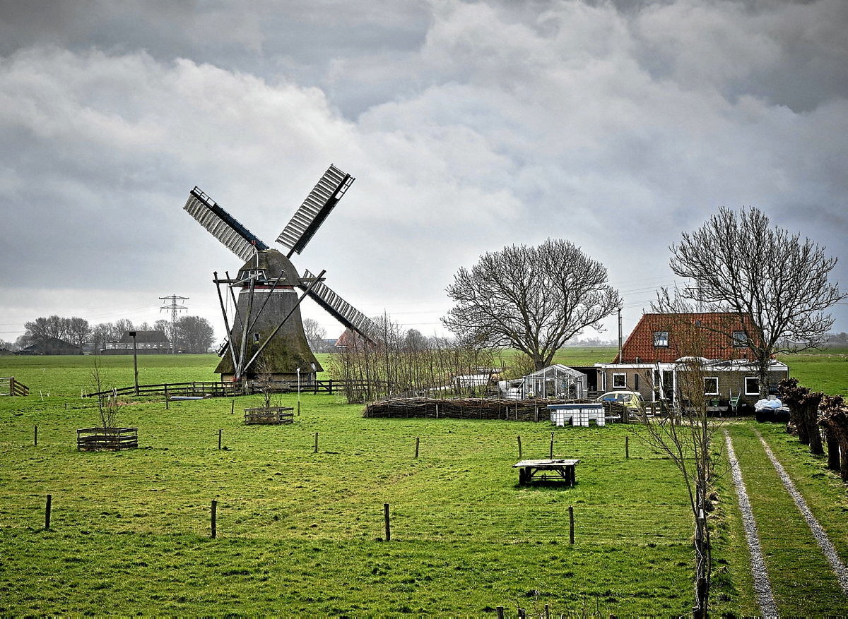 Frisiako errota bat. Bertako hizkuntzak biziki piztu zuen printzearen jakin-mina (Rango VEUGER)