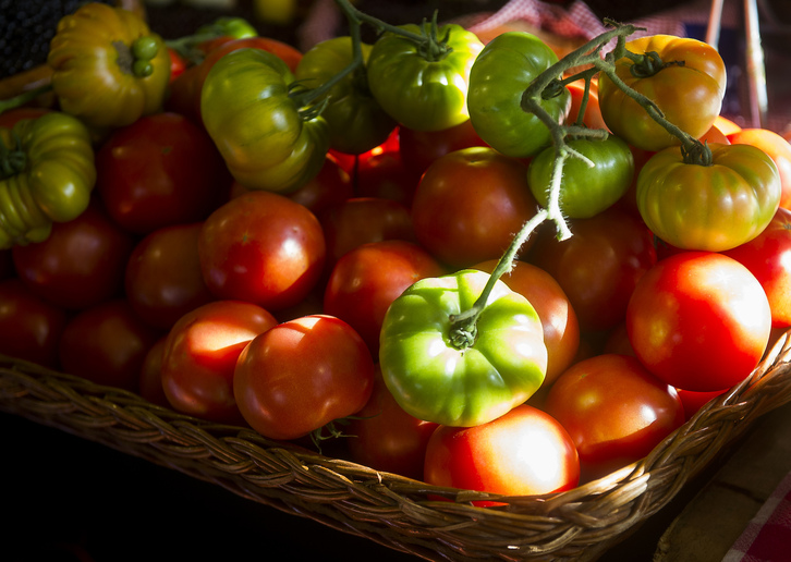 Tomateen inguruko ikerketaren emaitzak beste labore batzuetan ezartzeko aukera izango dela adierazi dute.