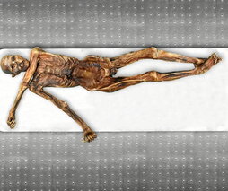 Azalaren kolorean, momiaren antz handiagoa ei zuen Ötzik, azkenean.