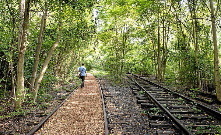 Park am Gleisdreieck zalaparta urbanoaren erdian atsedenerako eta aisialdirako oasi bat da.