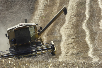La cosecha en el sur fue un 18% peor que la de 2022, el año agrícola más seco.