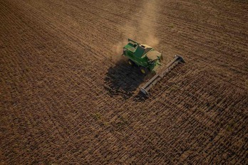 Cosecha de semillas de girasol en Ucrania. El conflicto del grano se ha extendido al armamento.