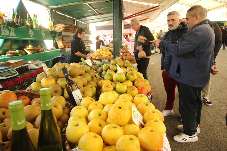 Eredu ekologikoak nekazaritza lurren %5a hartzen du EAEn eta %7a Nafarroan.