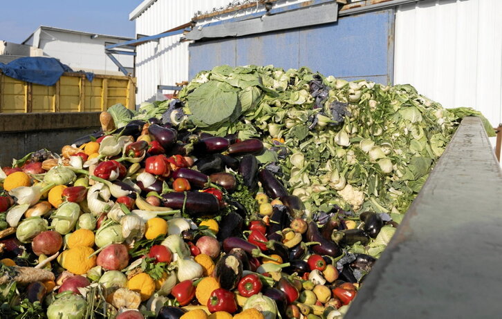 Cada año se desperdician millones de alimentos en la UE.