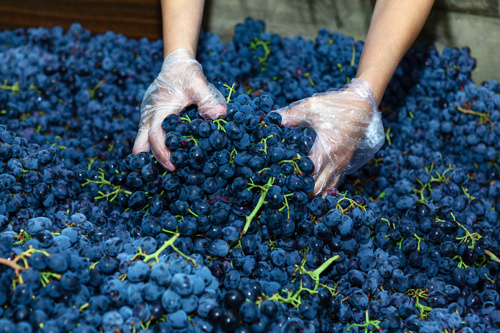 El «tufo» se crea de manera natural en el lagar durante la fermentación alcohólica de la uva.