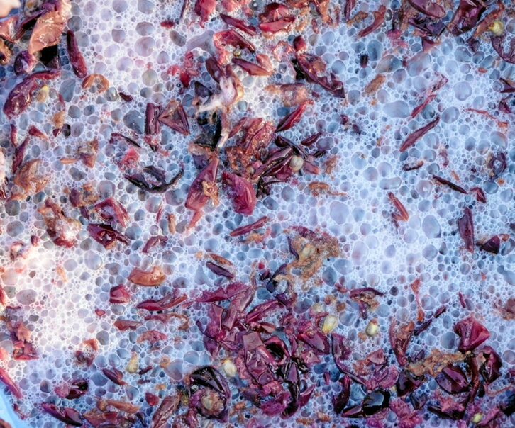 Durante la fermentación se libera dióxido de carbono.