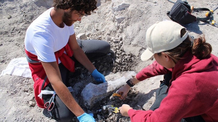 En la excavación han participado ocho paleontólogos y arqueólogos.