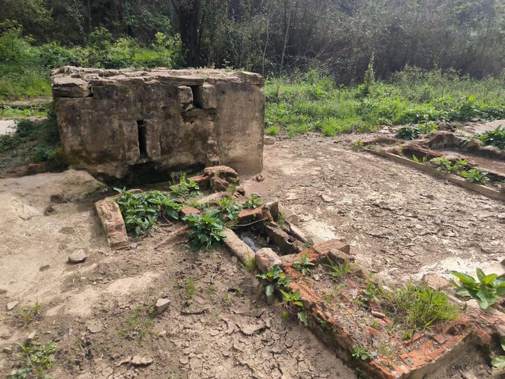 Gorlizko latsarria, irudian.