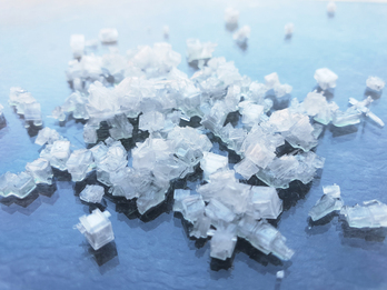 Cristales de clorurio de amonio.