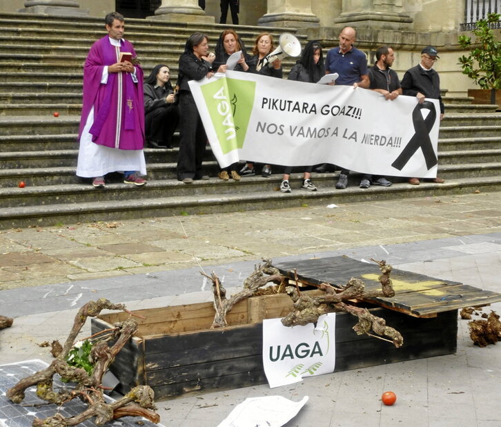 La protesta de UAGA recorrió las calles del centro de Gasteiz y finalizó frente al Palacio Foral.