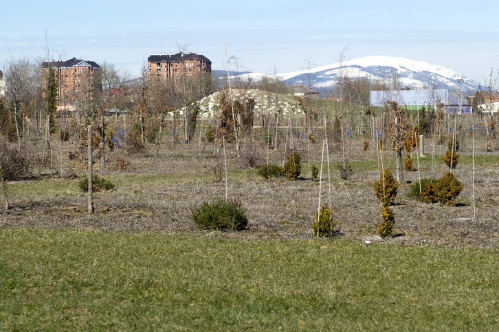 Olarizuko parke botanikoa, artxiboko irudia.