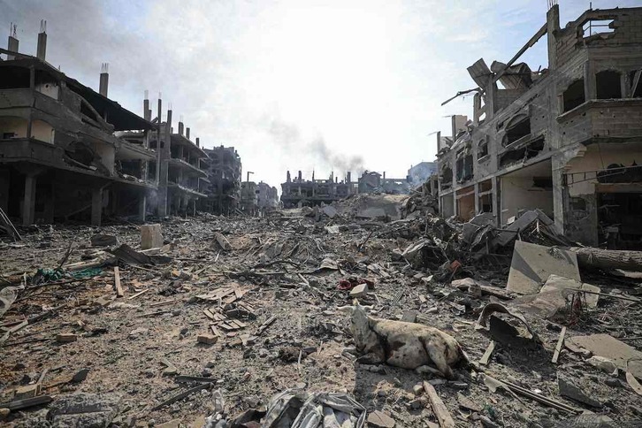 Asto bat, Gazako hondamendiaren erdian.