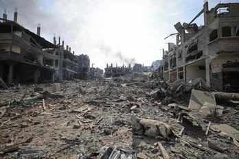 Asto bat, Gazako hondamendiaren erdian.