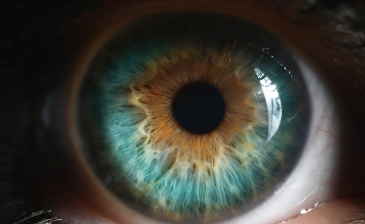 La edad molecular del ojo puede detectar algunas enfermedades.