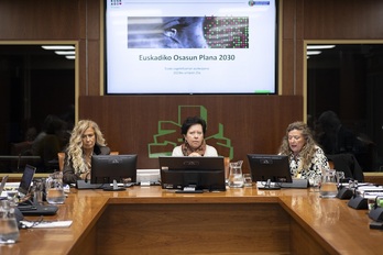 Comparecencia de Gotzone Sagardui ante la Comisión de Salud.