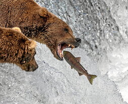 gara-2023-10-26-Reportaje