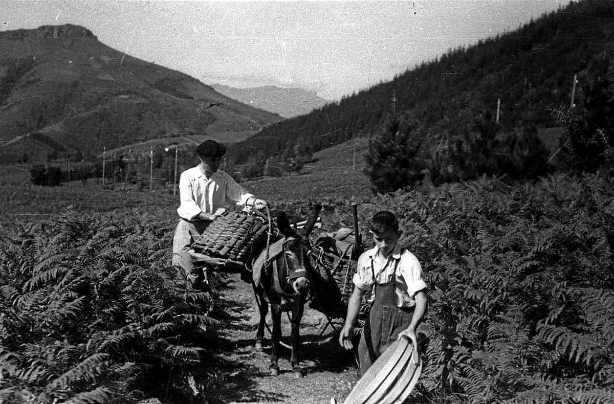 Astoz igo zituzten Sagastietako Lepora indusketarako beharrezko tresnak. Jesus ELOSEGI | Aranzadi Zientzia Elkartea