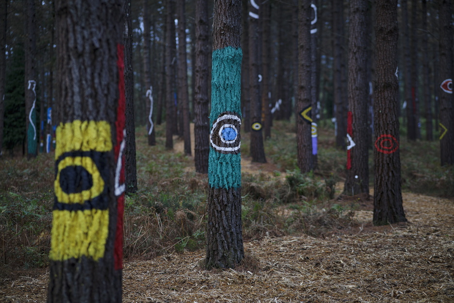 El traslado del Bosque a su nueva ubicación ha sido un logro respaldado por un equipo de personas expertas en arte contemporáneo y forestal.
