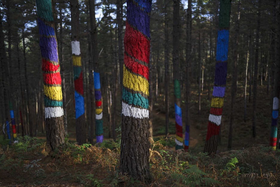 Los conjuntos pictóricos se han reducido de 47 a 34.