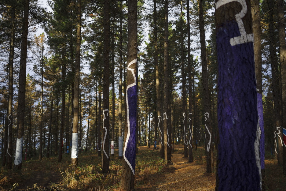 El bosque de Oma, un nuevo lienzo de doce hectáreas.