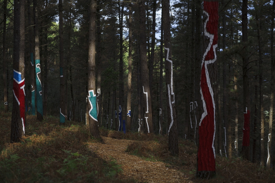 Se han implementado medidas para la gestión sostenible del bosque.