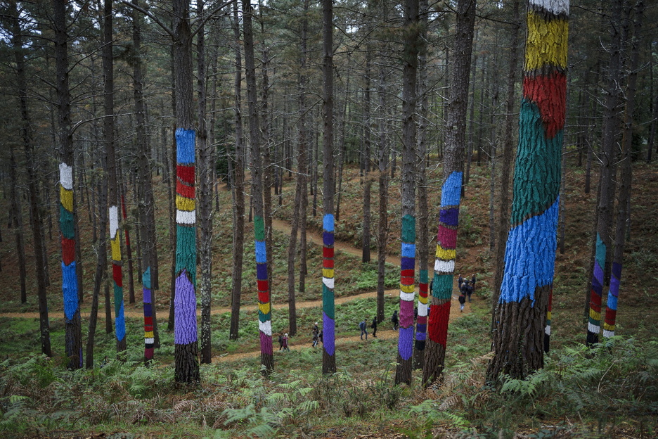 Para visitar El Bosque de Oma, es requisito imprescindible realizar una reserva.