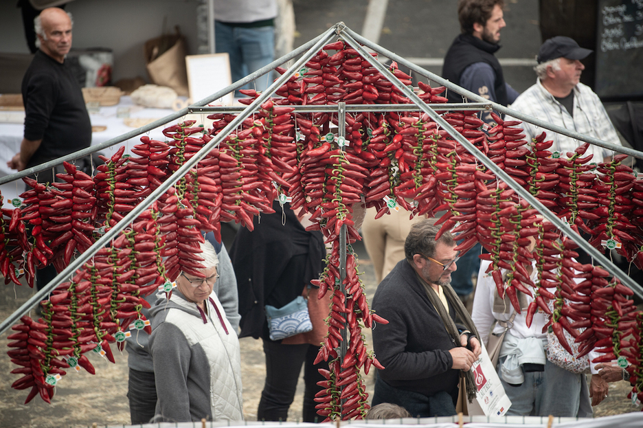 Les cordes de piments comptent chacune 21 fruits. Tout est calibré par le cahier des charges de l'AOP.