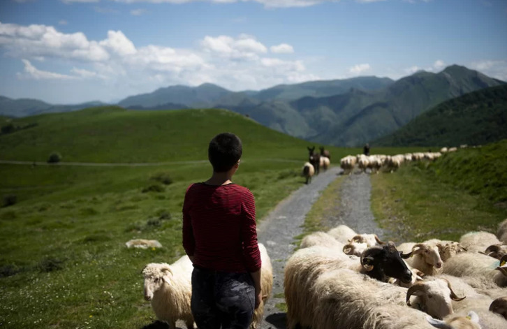 Una joven ganadera de Ipar Euskal Herria, con su rebaño.