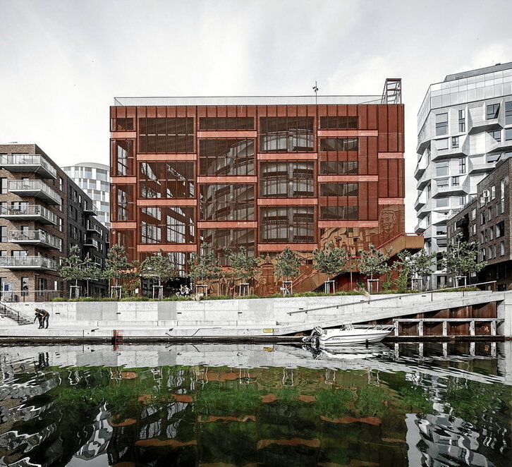 «Park‘n’play» deituriko proiektu honetan, Kopenhagen kokaturikoan, autoak aparkatzeko eta landareentzako lekua dago.