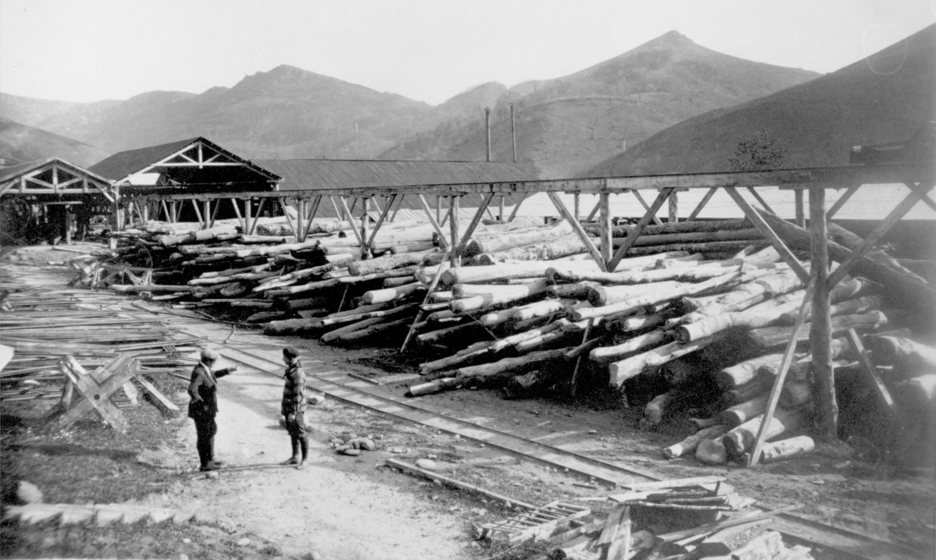 Troncos de hayas del Irati en el aserradero de Mendibe. Troncos de hayas del Irati en el aserradero de Mendibe.