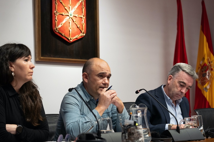 Josune Pérez y José Angel Hernández Manso, representantes de la plantilla de Siemens Gamesa, en el Parlamento navarro.