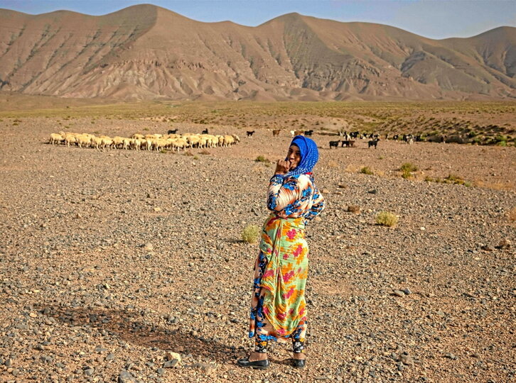 Una  amazigh cuida un rebaño en  Amellagou, donde residen los últimos nómadas.
