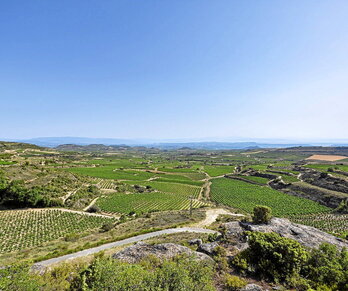 Arabar Errioxan, Guardian, dago «San Juan Ante Porta Latinam» aztarnategia.