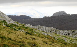 gara-2023-11-24-Reportaje