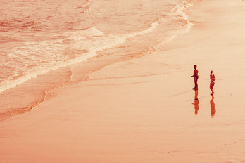 Des plages ont été fermées à la baignade cet été à cause de la présence de la microalgue toxique Ostreopsis ovata.