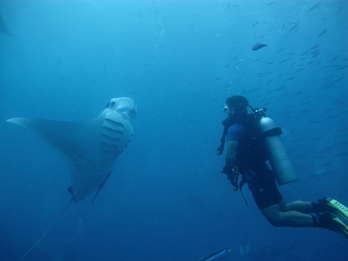 Klima-krisia dela eta, ozeanoetako baliabideak aztertu ditu AZTIk.